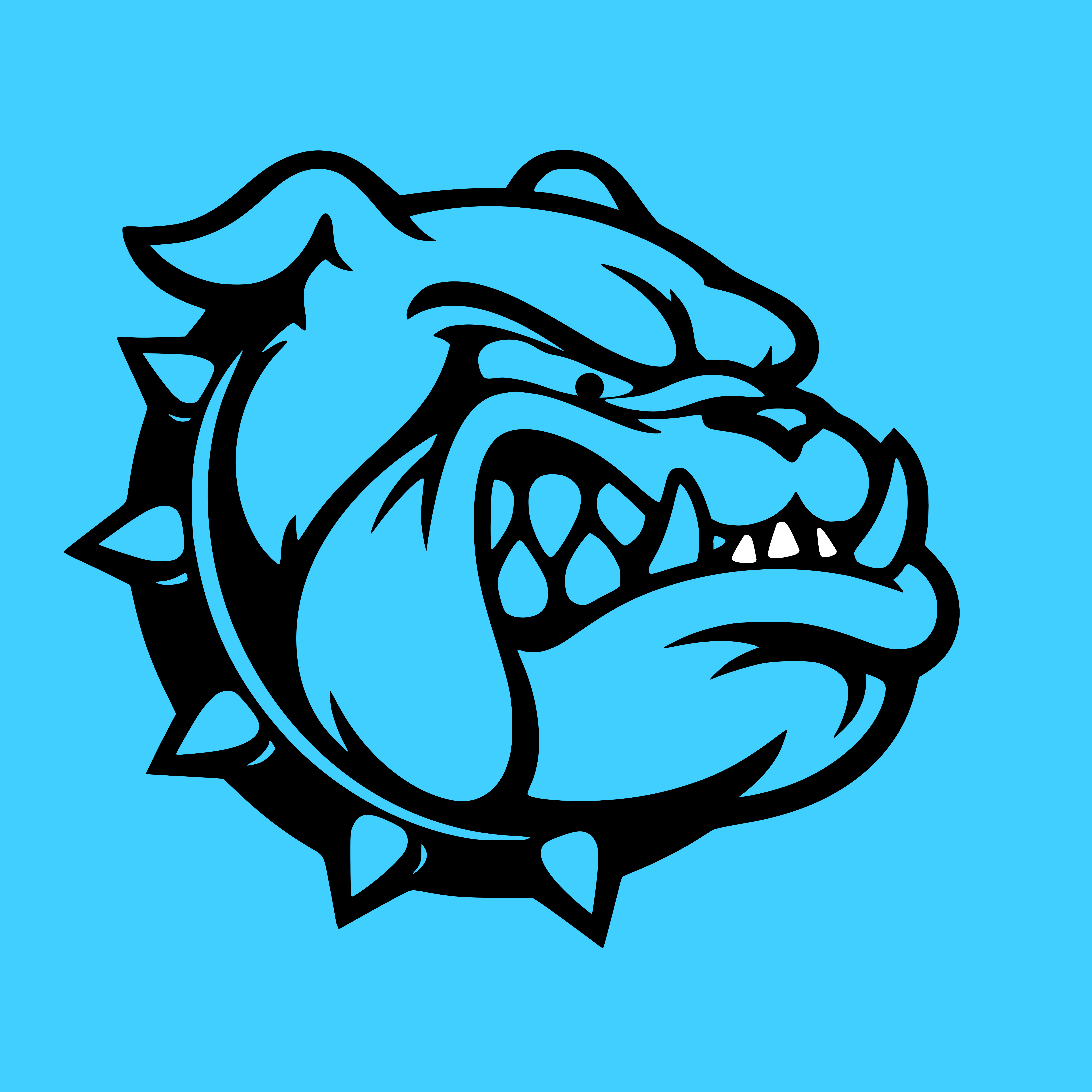 Bulldogs Flag U14V