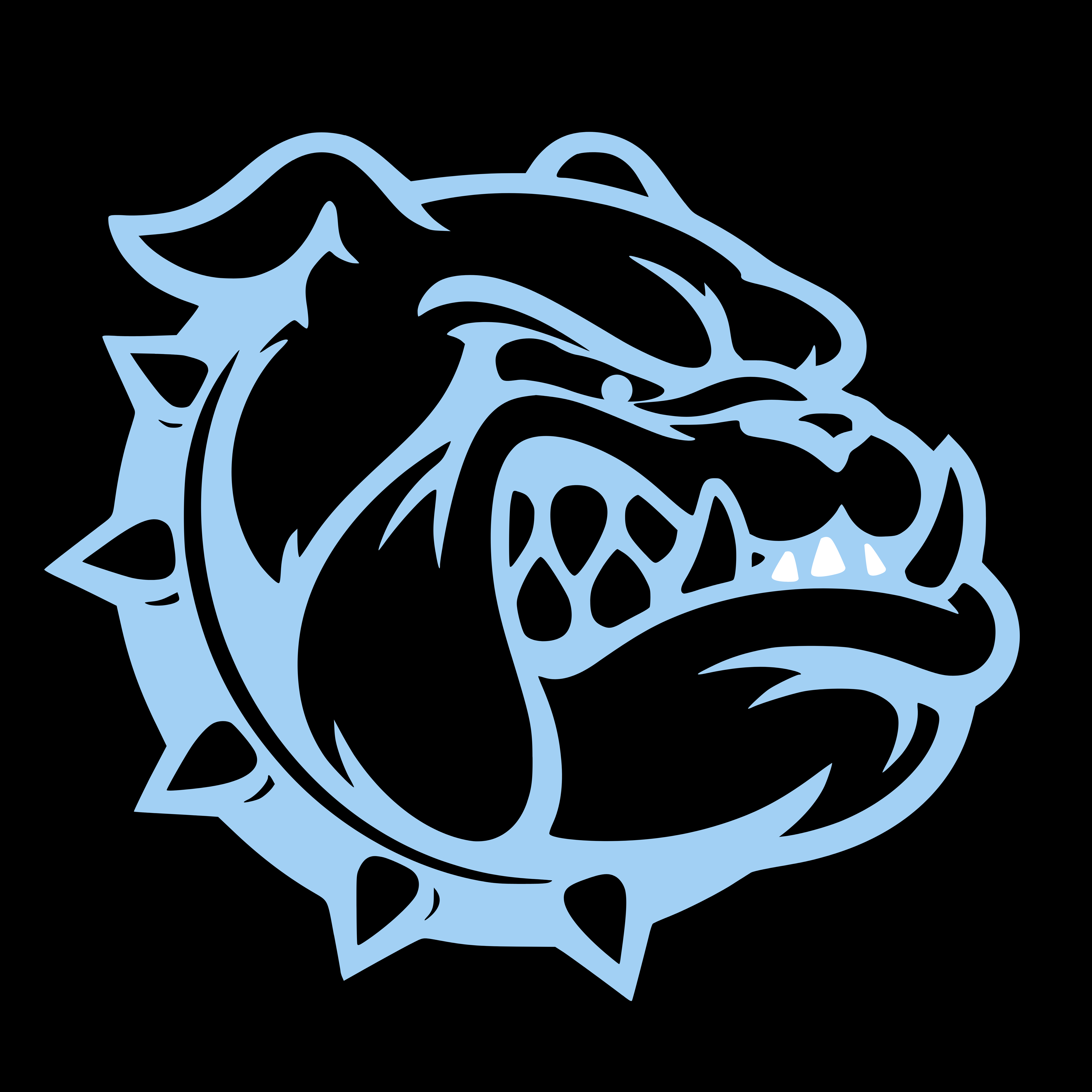 Bulldogs Flag U12