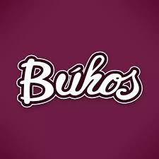 Buhos